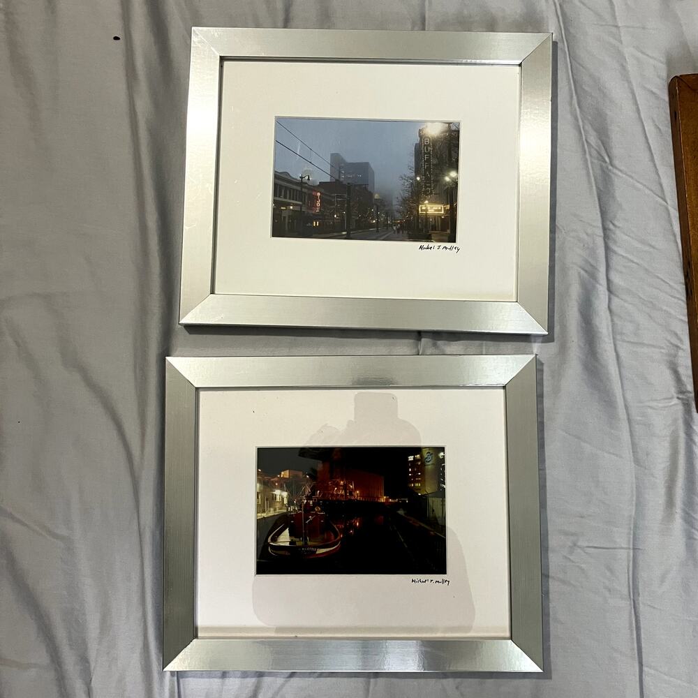 Set of 2 Buffalo Photo Signed Wall Art